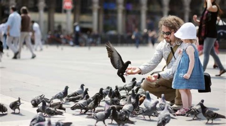 A Flock of Seagulls Net Worth, Income, Salary, Earnings, Biography