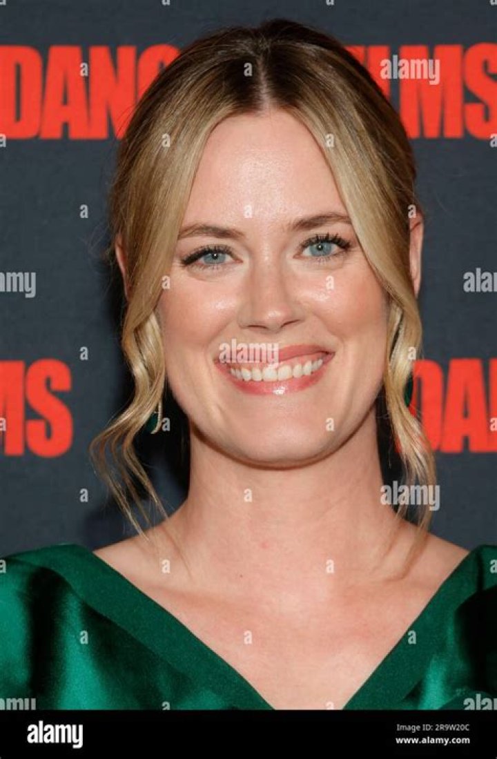 Abigail Hawk Biography – Facts, Childhood, Family Life, Achievements