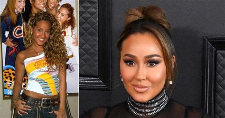 Adrienne Houghton Reveals She’s All For A Cheetah Girls Reunion!