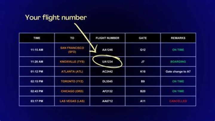 
All my worst flight experience have been with you guys – Ayra Starr calls out AirFrance for not returning her box 