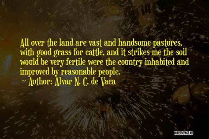 Alvar N. C. De Vaca Biography