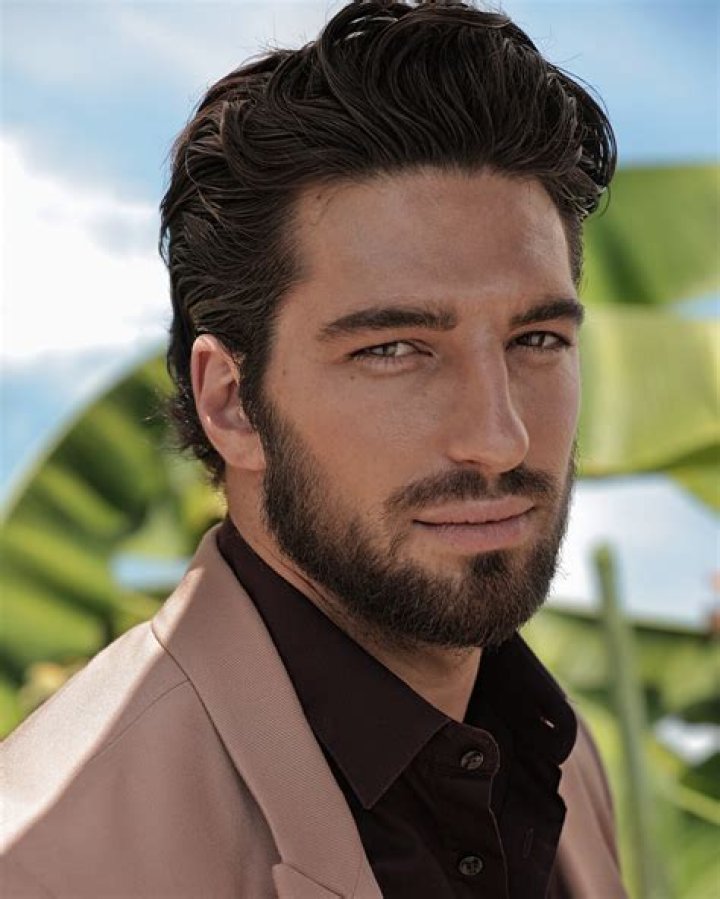 Alvise Rigo Wikipedia: Everything To Know About The Italian Model