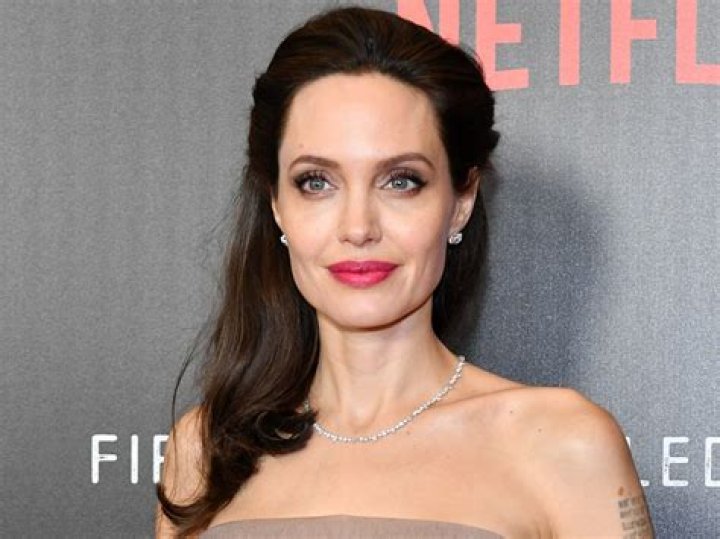 Angelina Jolie Dating Mystery Billionaire? – Here’s The Truth!