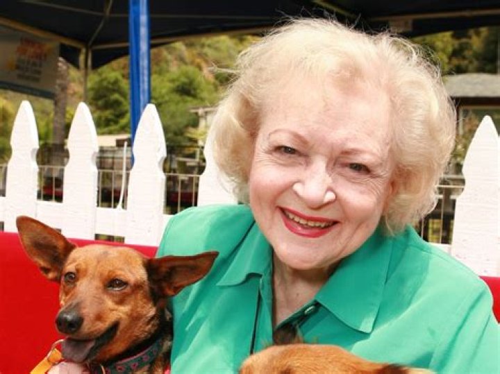 Arlene Golonka Net Worth And Wikipedia: Cause Of Death Revealed