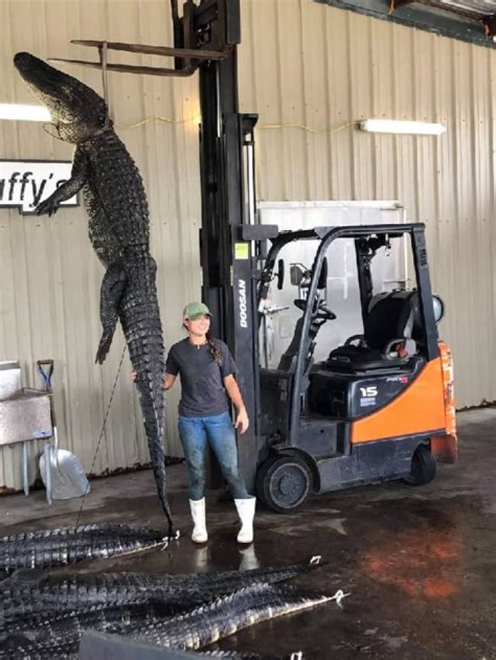 
Austin Russell Height, Weight, Net Worth, Age, Birthday, Wikipedia, Who, Instagram, Biography 