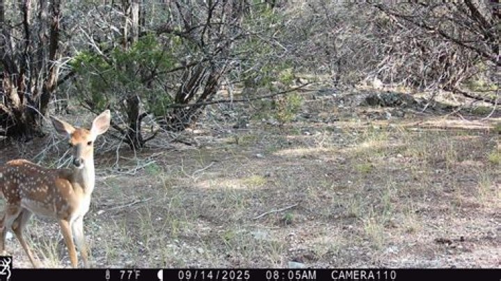 Barbara (Schultz) Berns – Monona, IA
