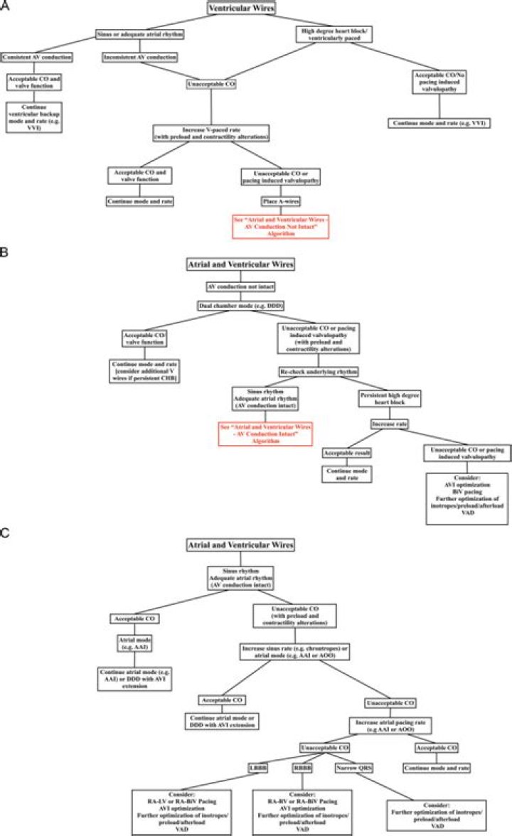 Dr. Brett Cronin, MD – San Diego, CA