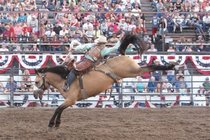 Bronc Rider Cody Demoss Age: Wife and Wikipedia, Meet His Family