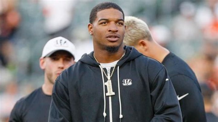 Brooklyn Chase Net Worth, Income, Salary, Earnings, Biography