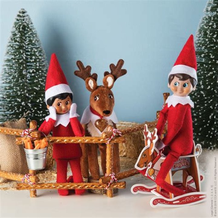 Can you touch a elf on the shelf reindeer