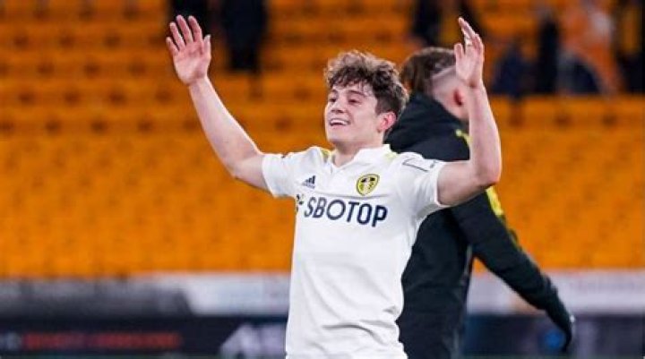 Daniel James age, height, weight, nationality, girlfriend, parents, team, salary, net worth, wiki, bio