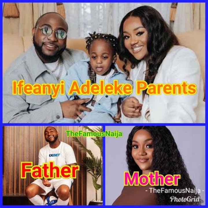 David Adedeji Adeleke Jr. Biography; Age And Mother