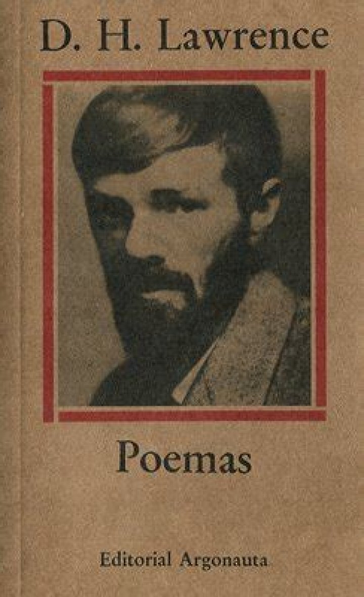 D. H. Lawrence Biography - Facts, Childhood, Family Life & Achievements