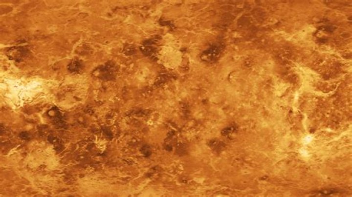 Did Vicario Ice Venus? – Celebrity