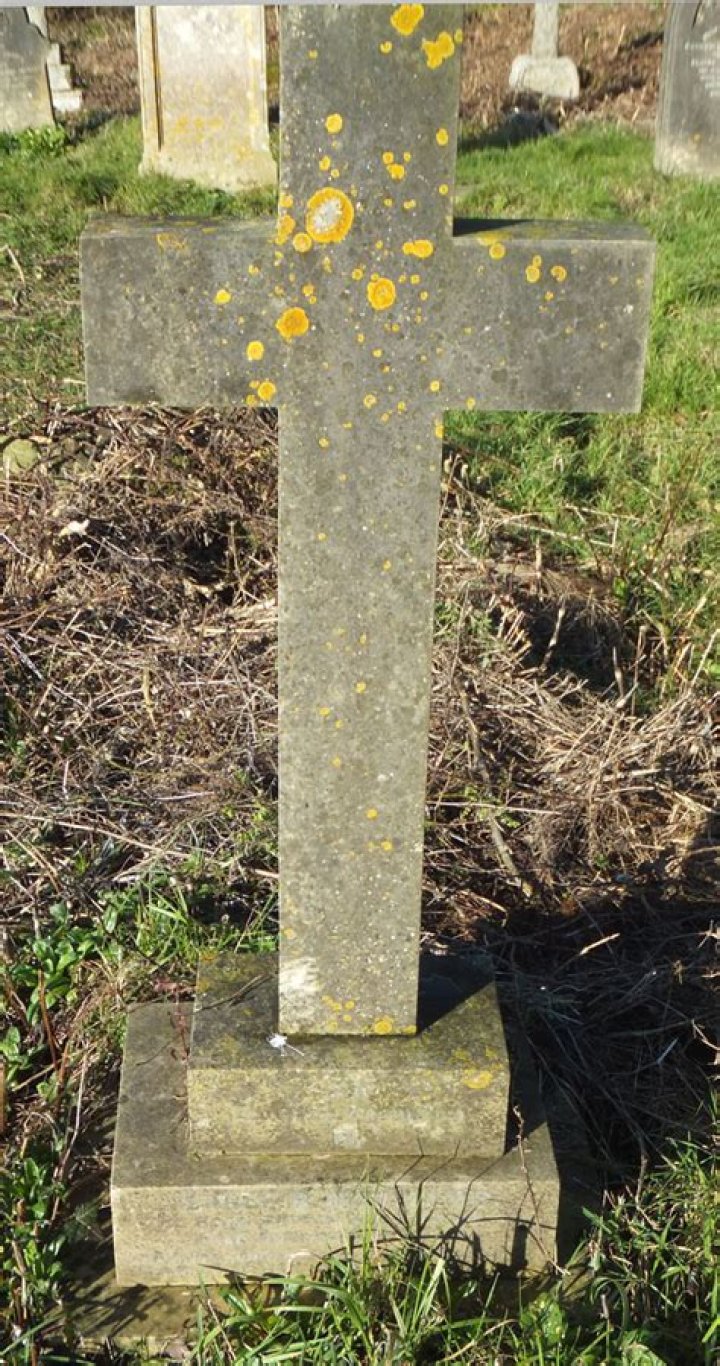 Famous People Who Died on November 2