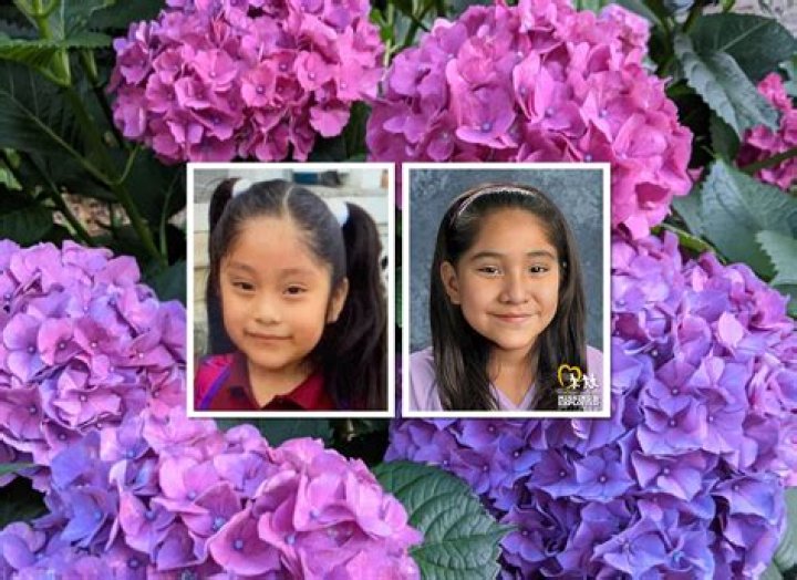 Dulce Alavez Missing Update 2023: Was She Found Yet?
