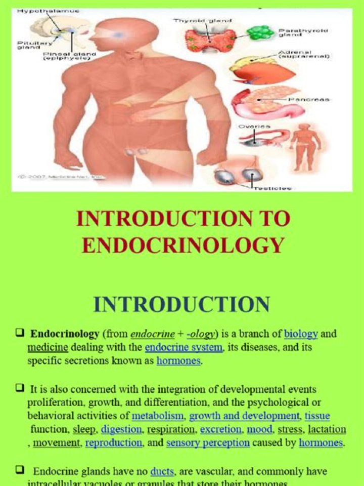 Directory of Physicians (MD/DO) in Endocrinology