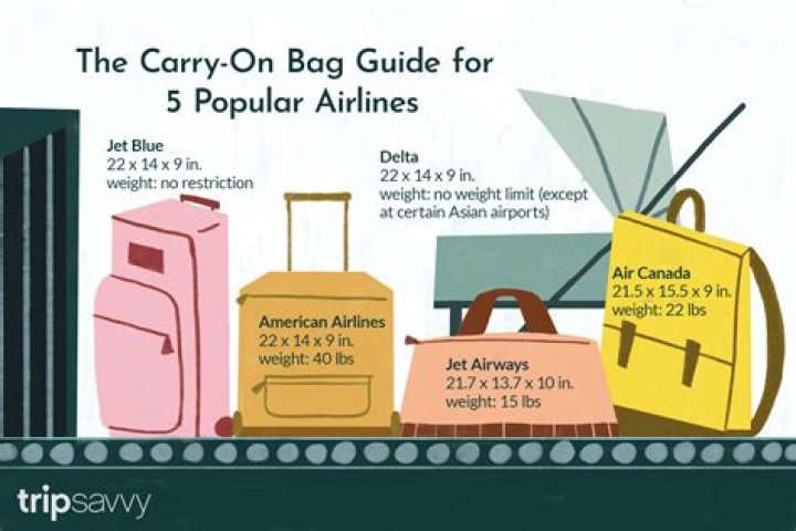 Examples of carry on bags