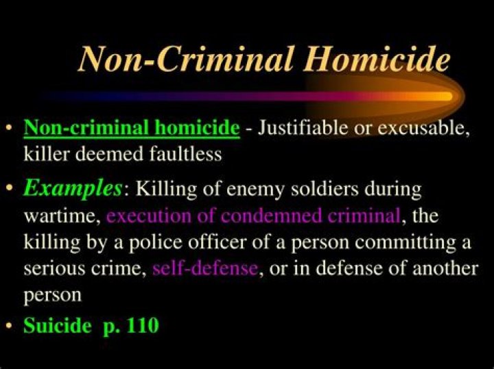Examples of non criminal homicide