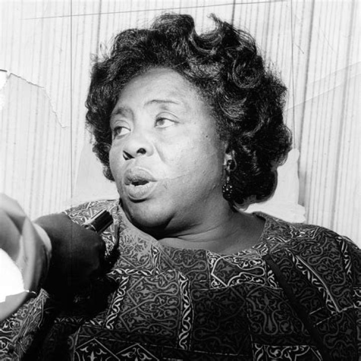 Fannie Lou Hamer Biography - Facts, Childhood, Family Life, Achievements
