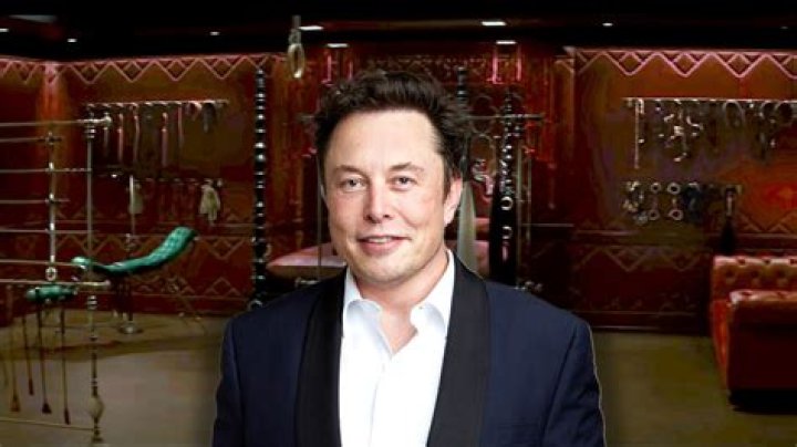 Gay erotica writer turns Elon Musk’s Twitter debacle into a sexy novel, in case that’s your thing