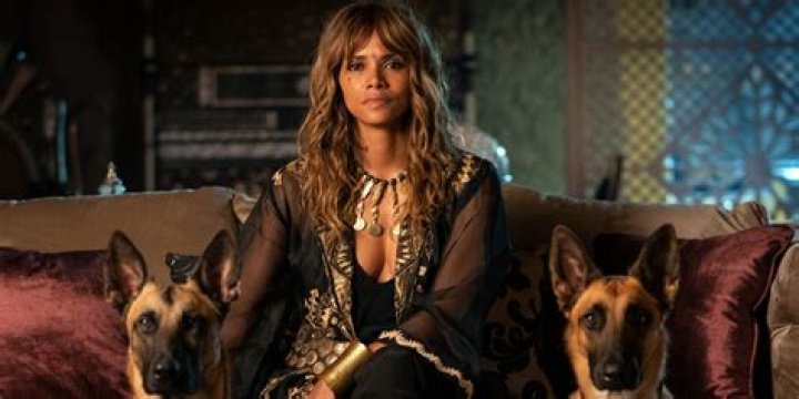 Halle Berry says she might be getting her own ‘John Wick’ spinoff