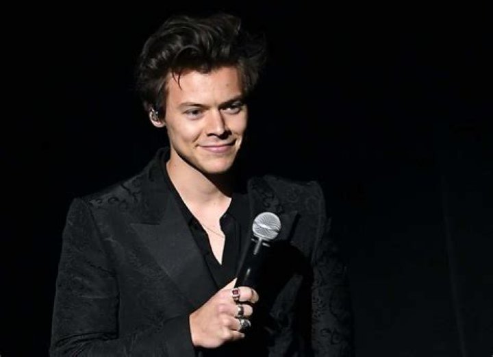 Harry Styles Robbed At Knifepoint On Valentine’s Day