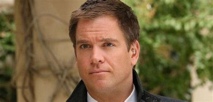How Much Does Michael Weatherly Make? – Celebrity