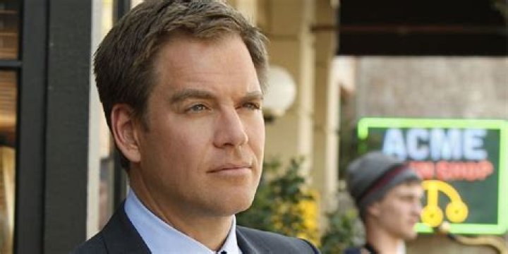 
How Much Money Does Michael Weatherly Make? Latest Income Salary
