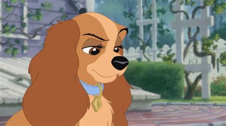 How old is angel from Lady and the Tramp 2? – Celebrity