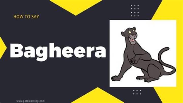 How to pronounce bagheera