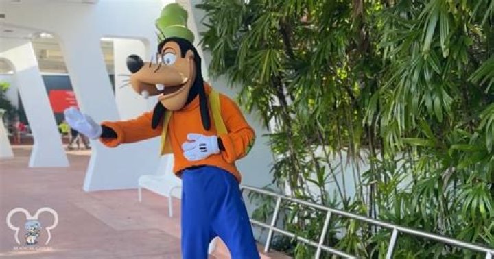 Is Goofy a cow or a dog? – Celebrity