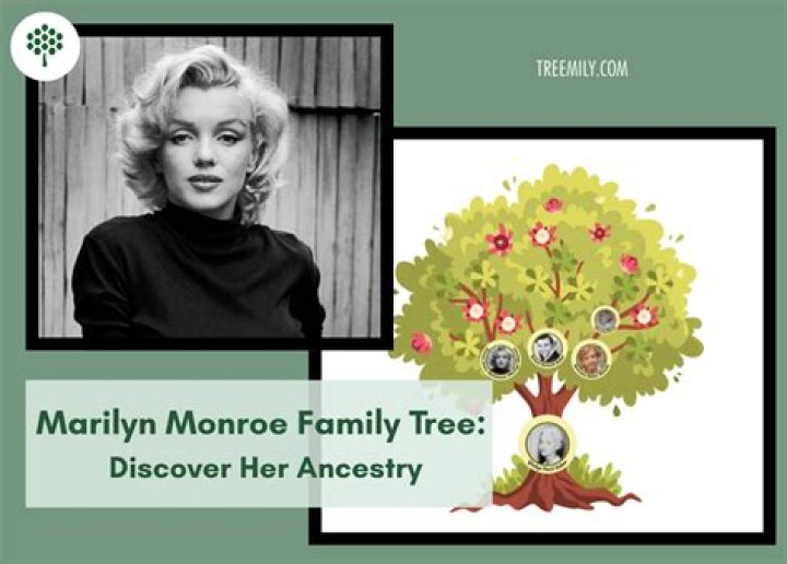 
Is Maika Monroe Related To Marilyn Monroe? Family Links & Relationship Explored 