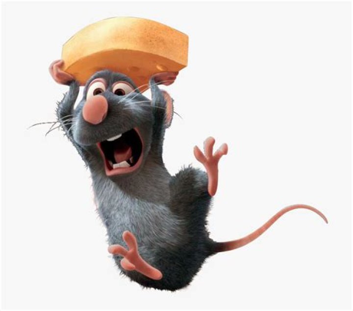 Is Remy a rat or a mouse? – Celebrity