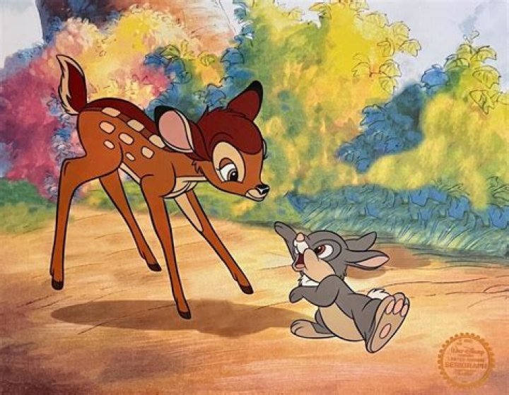 Is Thumper and Bambi a girl or boy? – Celebrity