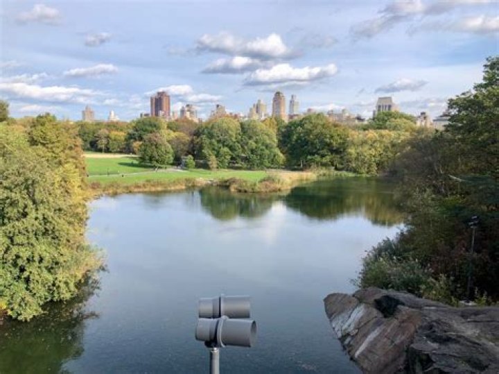 Jamie Hobdy RemainsHas Been Pulled From St. Petersburg Pond Monday