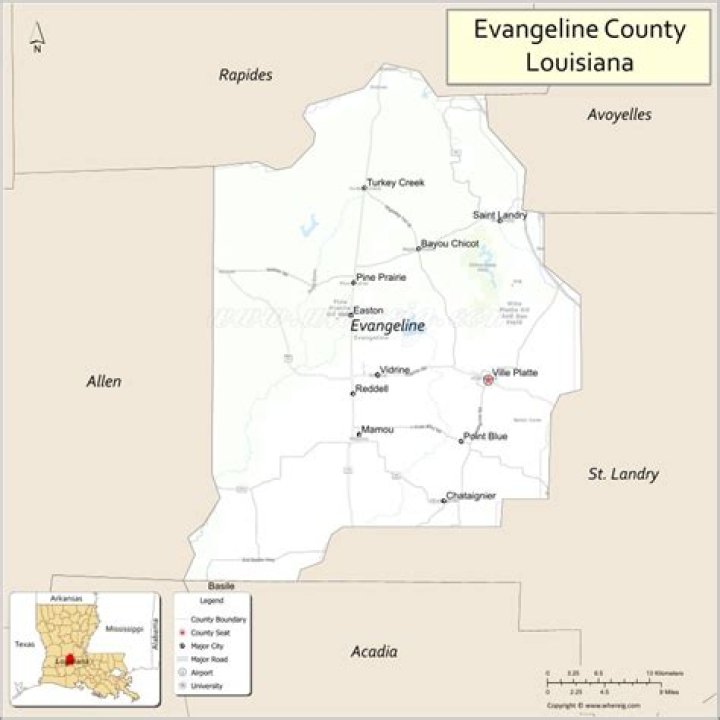 Jevangeline (Co) Co-Vivo – Long Beach, CA
