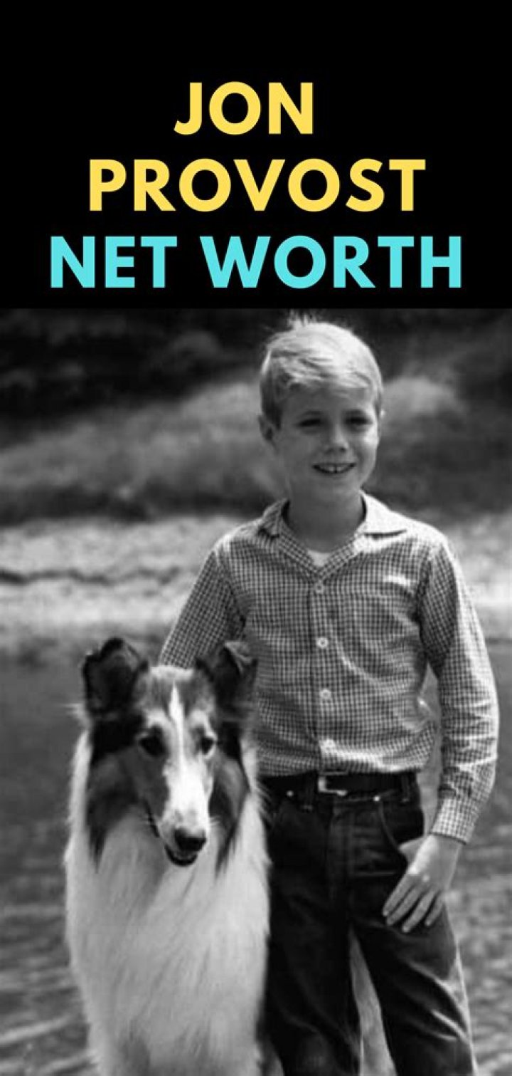 Jon Provost Net Worth, Income, Salary, Earnings, Biography