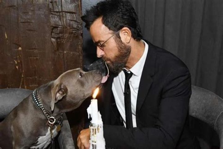 Justin Theroux Recreates Iconic Lady And The Tramp Scene With Rescue Dog Kuma