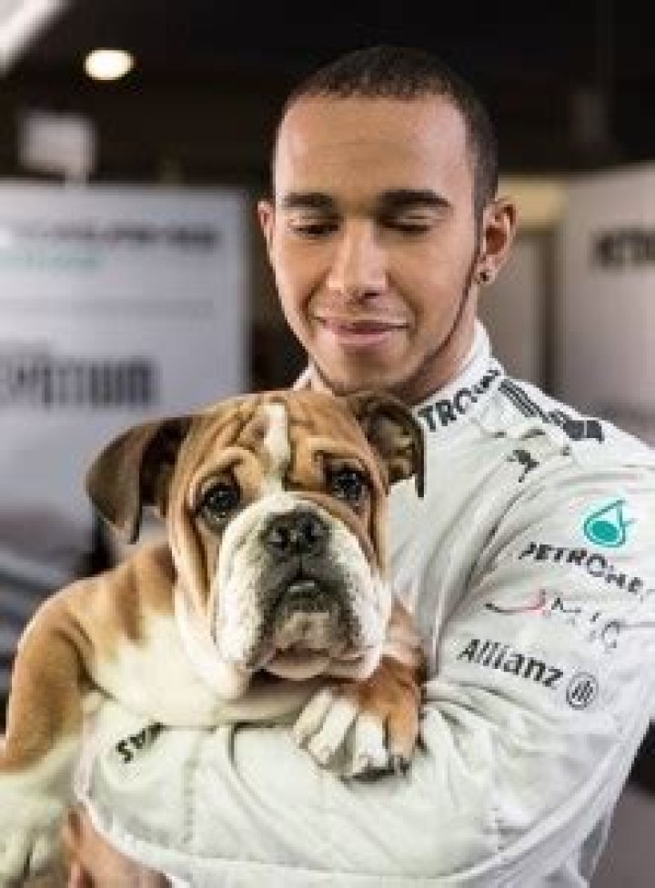 Lewis Hamilton Favourite Food Music Color Hobbies Biography