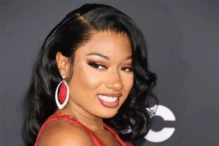 Megan Thee Stallion Comments On Purported DaBaby And Tory Lanez Collaboration