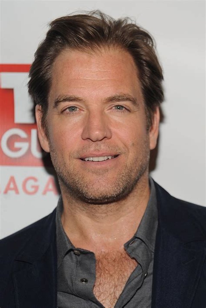 Michael Weatherly Biography - Facts, Childhood, Family Life & Achievements