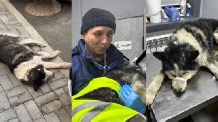 The Fit Star in Bathing Suit is a "Flag Girl"