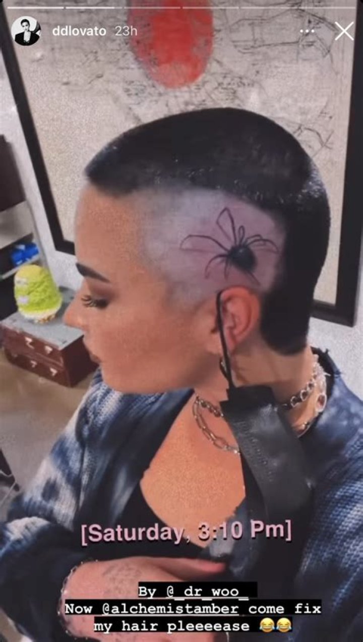 Demi Lovato Shows Off New Hair on Instagram Story — Celebwell