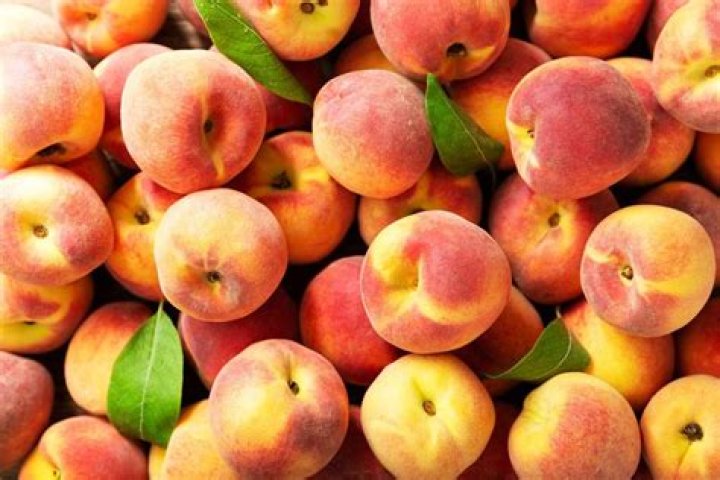 Peaches Biography - Facts, Childhood, Family Life & Achievements