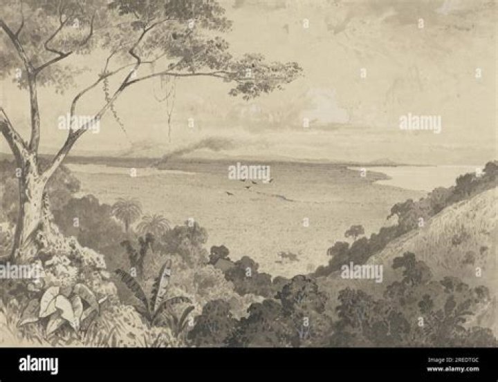 Pedro Cazabon Obituary, A Louisiana resident