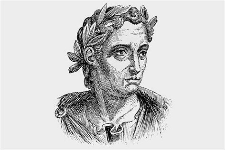 Pliny The Younger Biography - Childhood, Life Achievements & Timeline