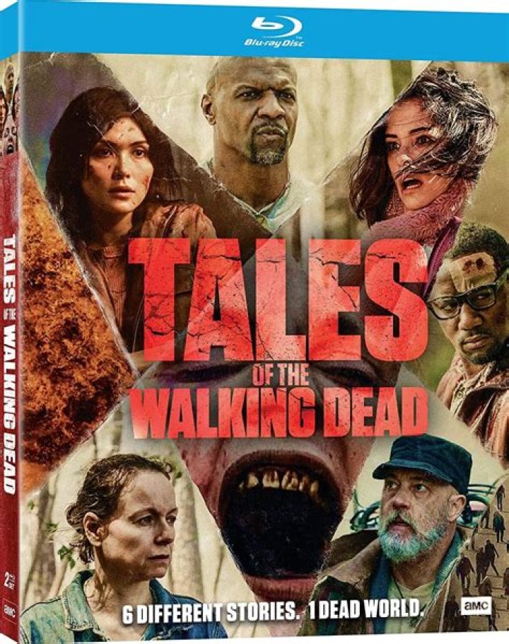Rachael Markarian top movies, TV shows and awards