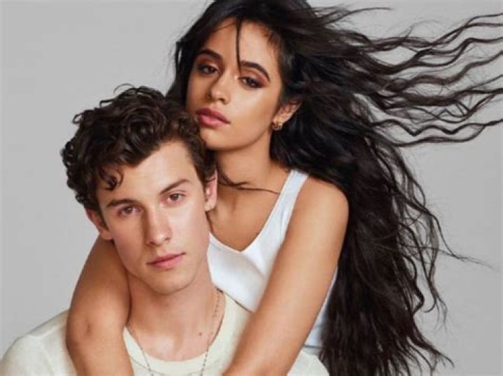 Shawn Mendes Shuts Down Camila Cabello Dating Rumors With New Twitter Video