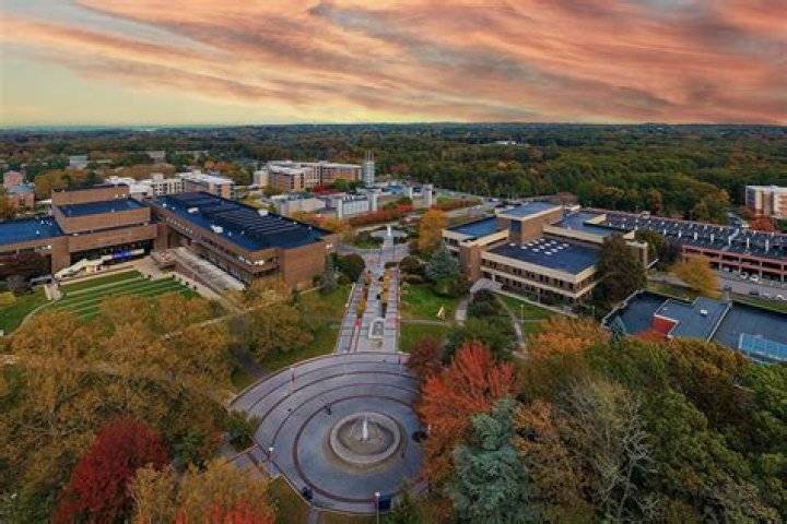 Directory of Physicians (MD/DO) in Stony Brook, New York